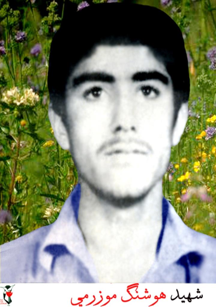 فاقد تصویر